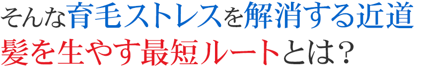 そんな育毛ストレスを解消する近道髪を生やす最短ルートとは？